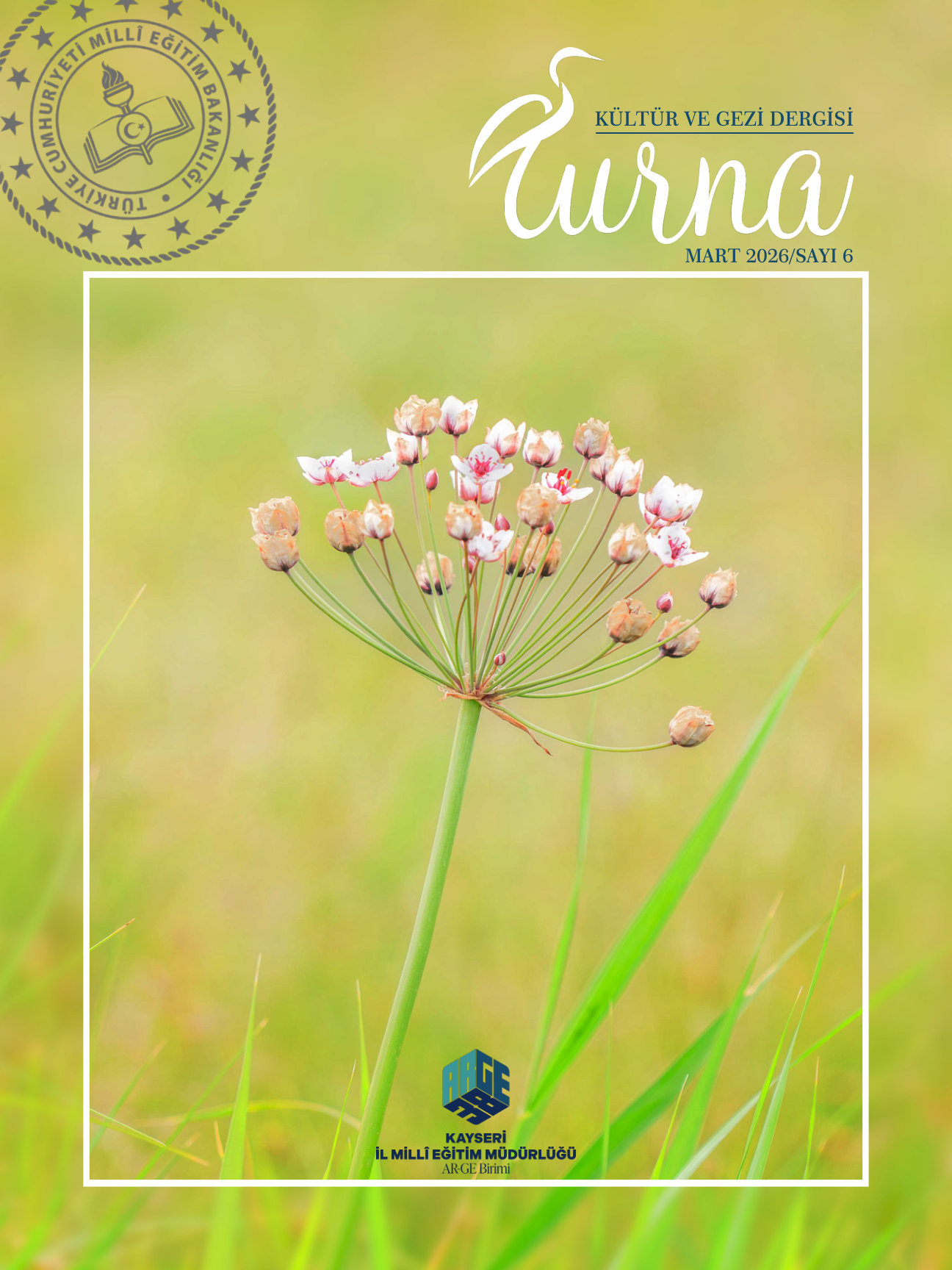 Turna Dergisi / Sayı 6 Kapak